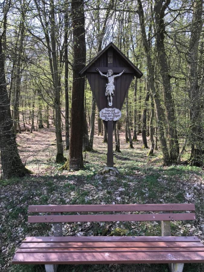 Pension-Ferienwohnung Liesbachtal Direkt Am Waldrand Bayerische Rhoen Schönau an der Brend Buitenkant foto