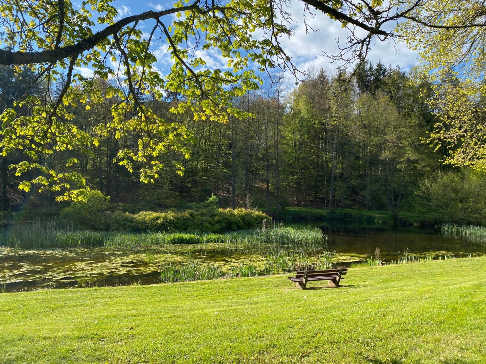 Pension-Ferienwohnung Liesbachtal Direkt Am Waldrand Bayerische Rhoen Schönau an der Brend Buitenkant foto