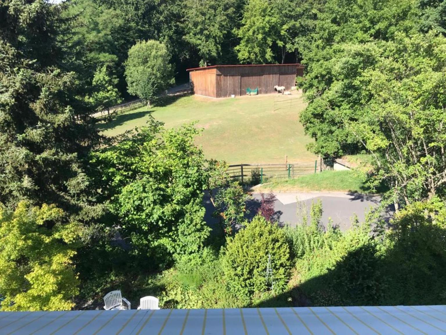Pension-Ferienwohnung Liesbachtal Direkt Am Waldrand Bayerische Rhoen Schönau an der Brend Kamer foto