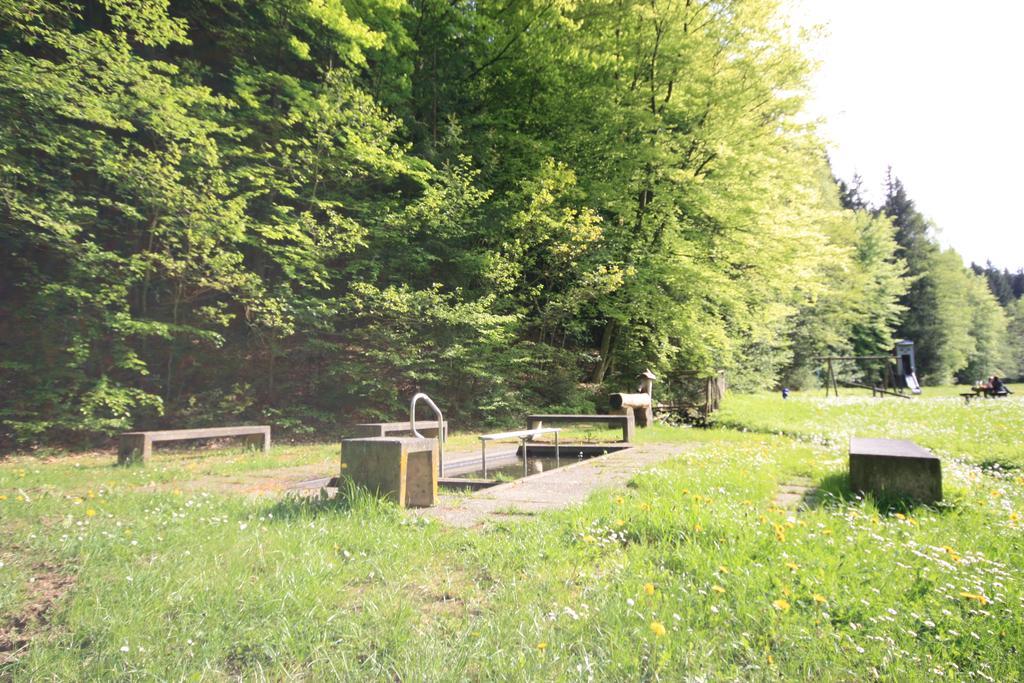 Pension-Ferienwohnung Liesbachtal Direkt Am Waldrand Bayerische Rhoen Schönau an der Brend Buitenkant foto