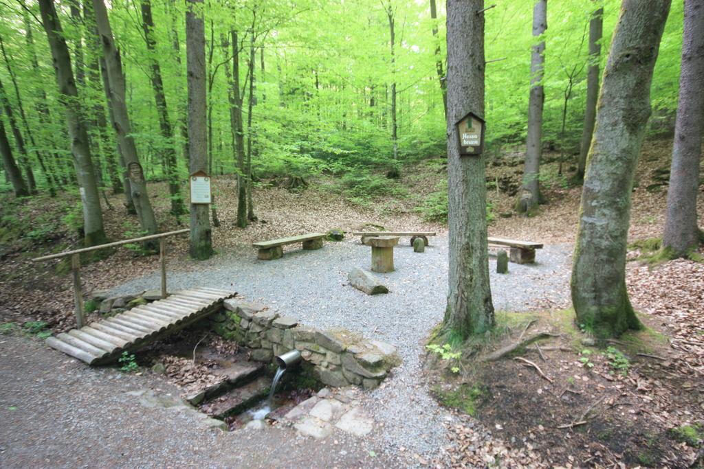 Pension-Ferienwohnung Liesbachtal Direkt Am Waldrand Bayerische Rhoen Schönau an der Brend Buitenkant foto